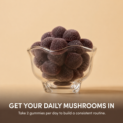 Mushroom Gummies